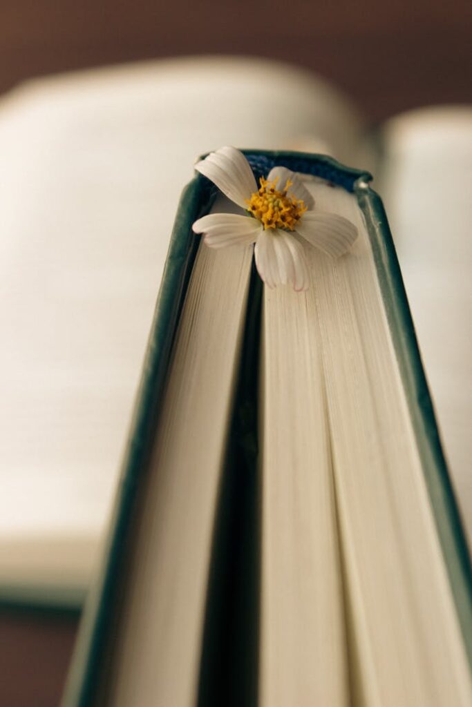 A close-up shot of a book with a delicate flower used as a bookmark.